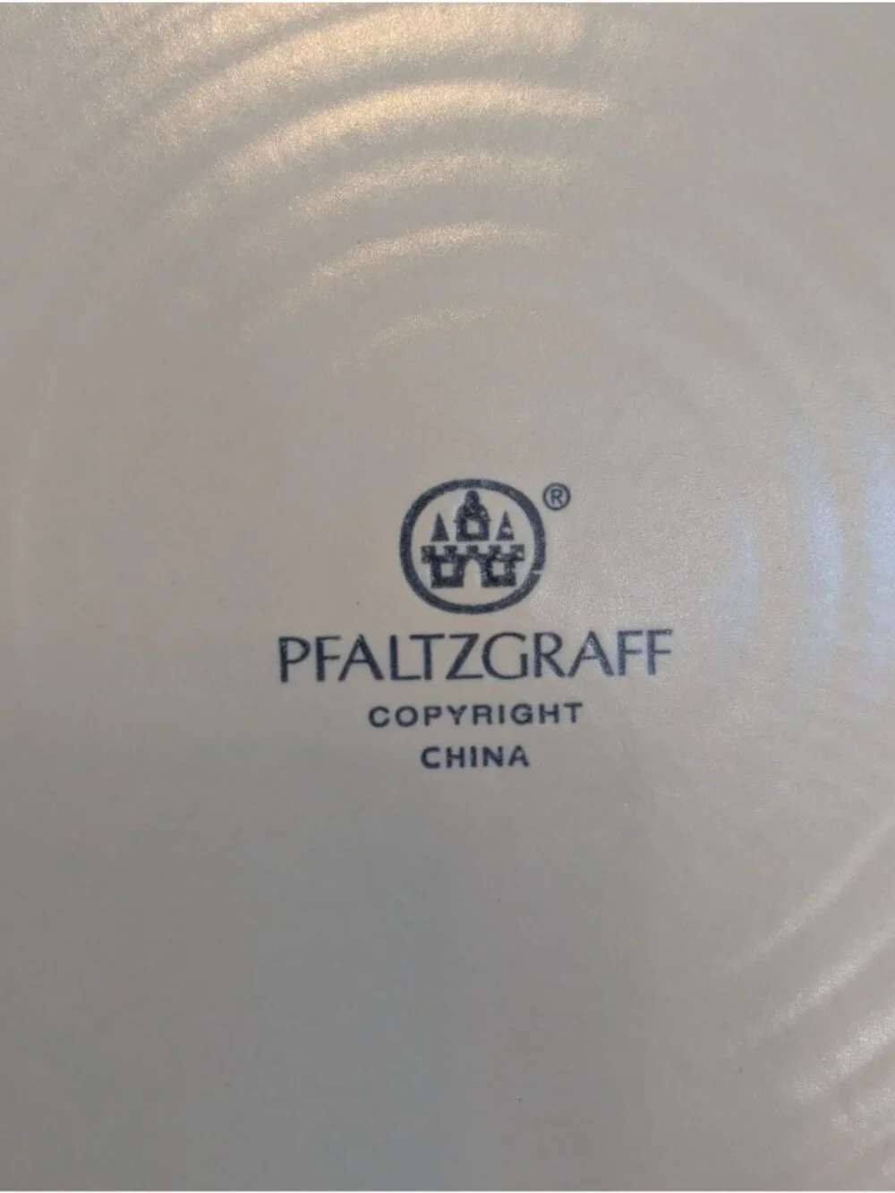 Set of 2 Vintage Blue Pfaltzgraff Villa Flora Stoneware Dinner Plates 11